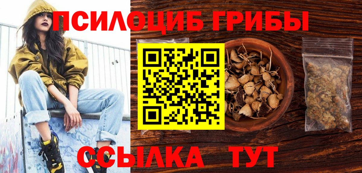 Ирбит  Галлюциногенные грибы Psilocybe  Вход с VPN 